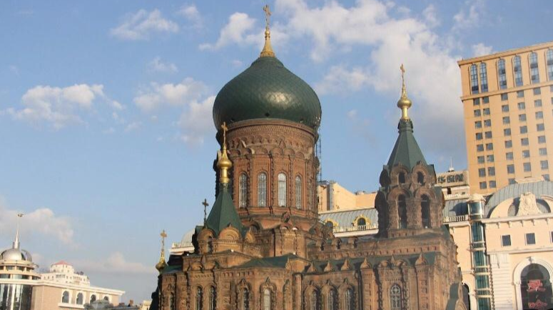 哈尔滨人才故事感动人心，激发城市创新活力